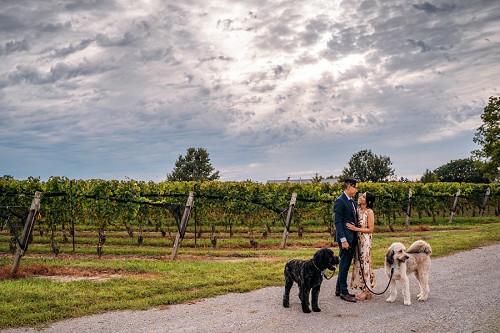 13th street winery elopement with dogs