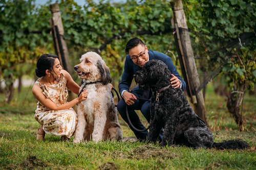 bride and groom with their dogs at 13th street winery wedding