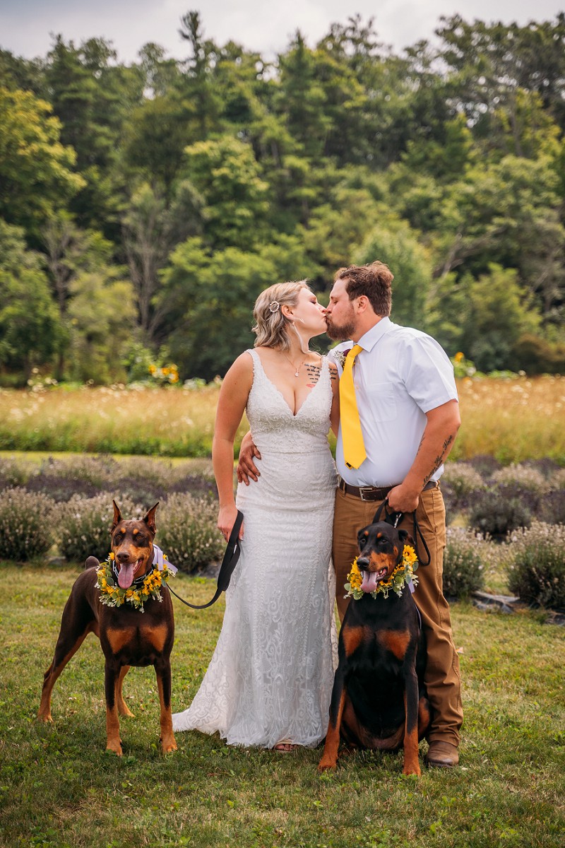 Bride and groom with their dogs