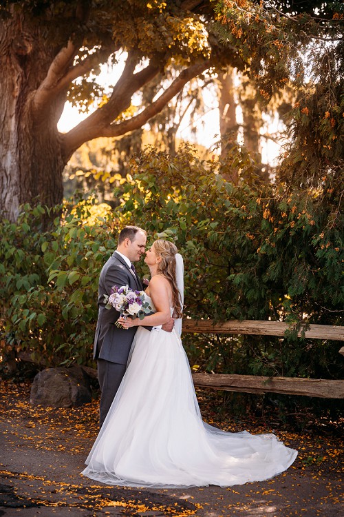 kissing under tree 