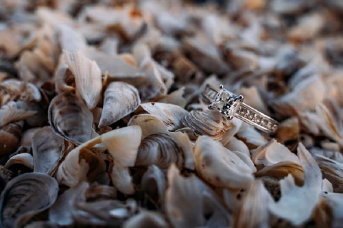 engagement ring in sea shells