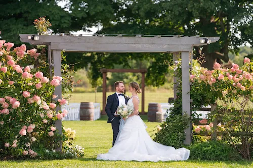 Bride and groom surrounded by flowers in the meadow at Maple Meadows in Port Colborne
