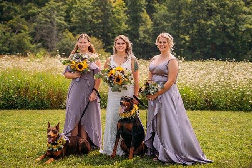 bride and bridesmaids with doberman dogs