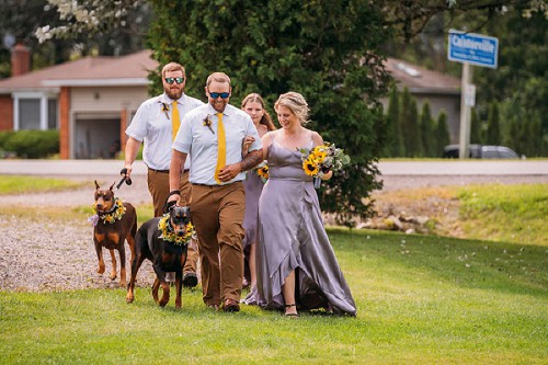 wedding party walking down isle with dogs