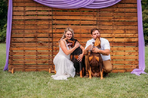 bride and groom posing with their dogs