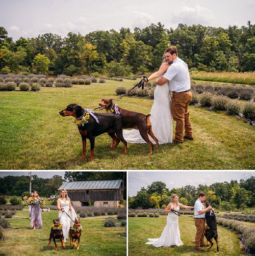 first look at wedding with dogs