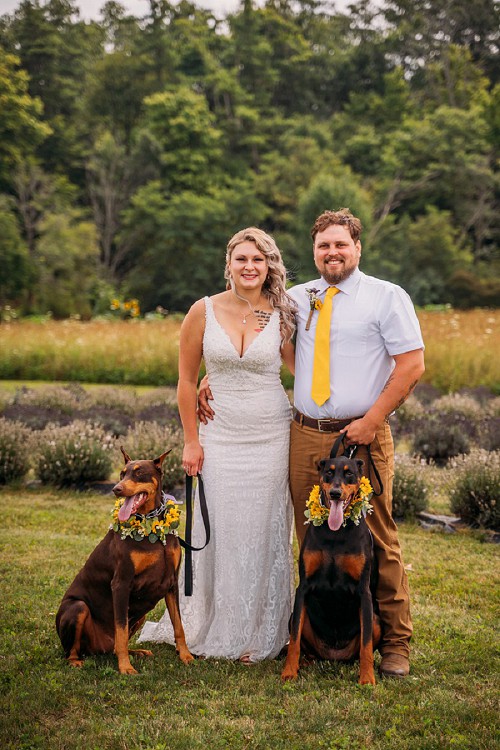 bride and groom with their dogs