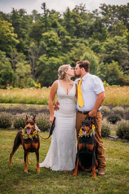bride and groom kissing while holding their dogs