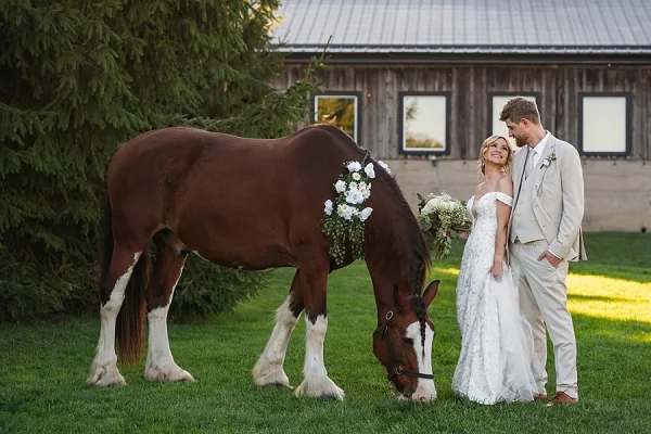 Sue Ann Staff Estate Winery Wedding