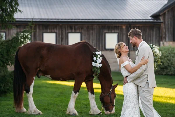 sue ann estate winery wedding bride and groom with horse