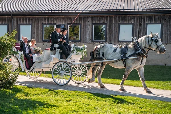 horse-drawn carriage sue ann staff winery wedding ceremony