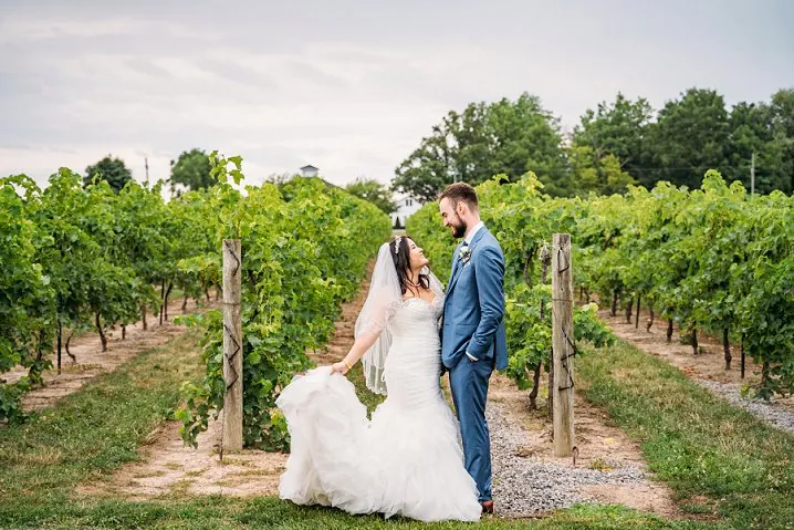 niagara on the lake vineyard elopement photography